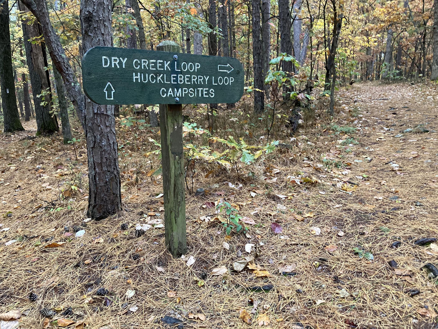 OPINION | PUTTHOFF: Hiking an Ozarks original never gets old - Vimarsana News