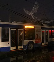 photo thumbnail