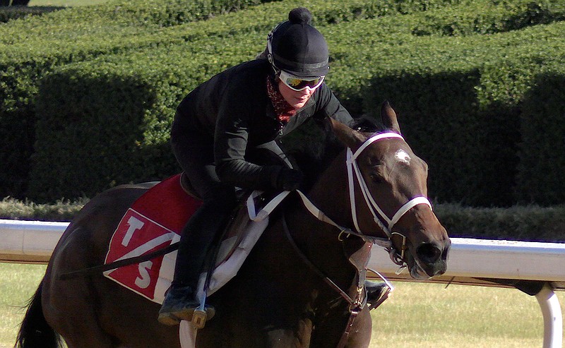 Jockey Chel-c Bailey takes a horse from trainer Tom Swearingen's stables through a workout at Oaklawn on Nov. 23. The track's 68-day race meet is set to open Friday with the drawing for opening day's post positions set for today. - Photo by Donald Cross of The Sentinel-Record