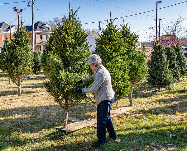 Optimist Club carries on Christmas tree lot tradition - Vimarsana News