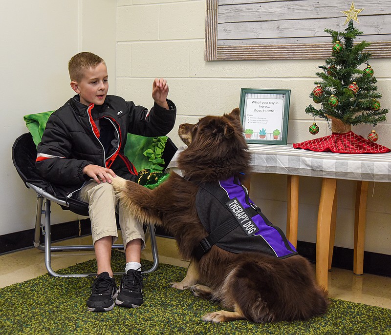 Julie Smith/News Tribune photo: 
Walter Marke rewards Kenai, a husky and chocolate labrador mix, with a treat to shake his hand. Kenai, who will soon be five years old and is loved by the Cathedral of St. Joseph students who need her patience, understanding, unconditional love and ability to perform for treats. Some students sign up to play with her instead of going to recess and look forward to the opportunity to pet her, play tug-of-war or a host of other activities.