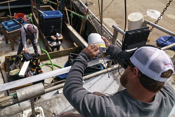 Could trawler cameras help save the world's dwindling fish stocks? - Vimarsana News