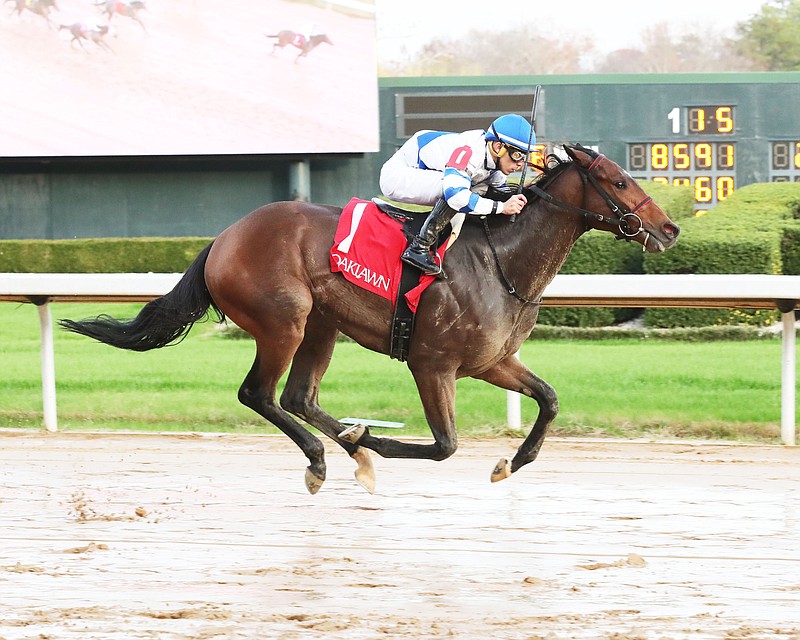 Count de Monet, under Sanjo Sanjur, wins the Advent Stakes for 2-year-olds at Oaklawn Friday. - Photo courtesy of Coady Photography.