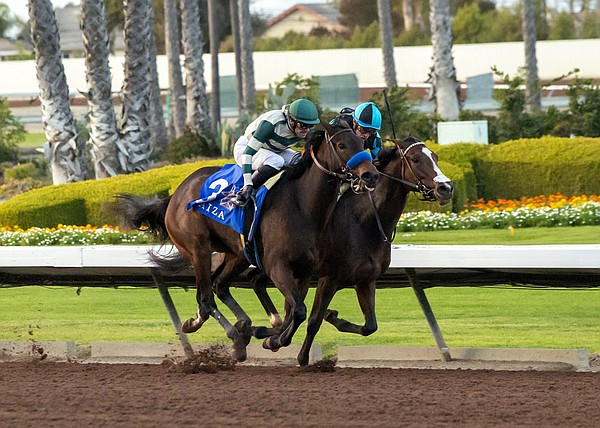 Racing's new overseer hits snag in drug-testing - Vimarsana News
