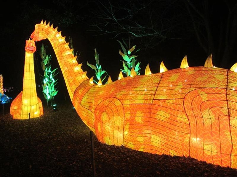 Little Rock Zoo GloWild adds 15 dazzling dinosaurs for Christmas