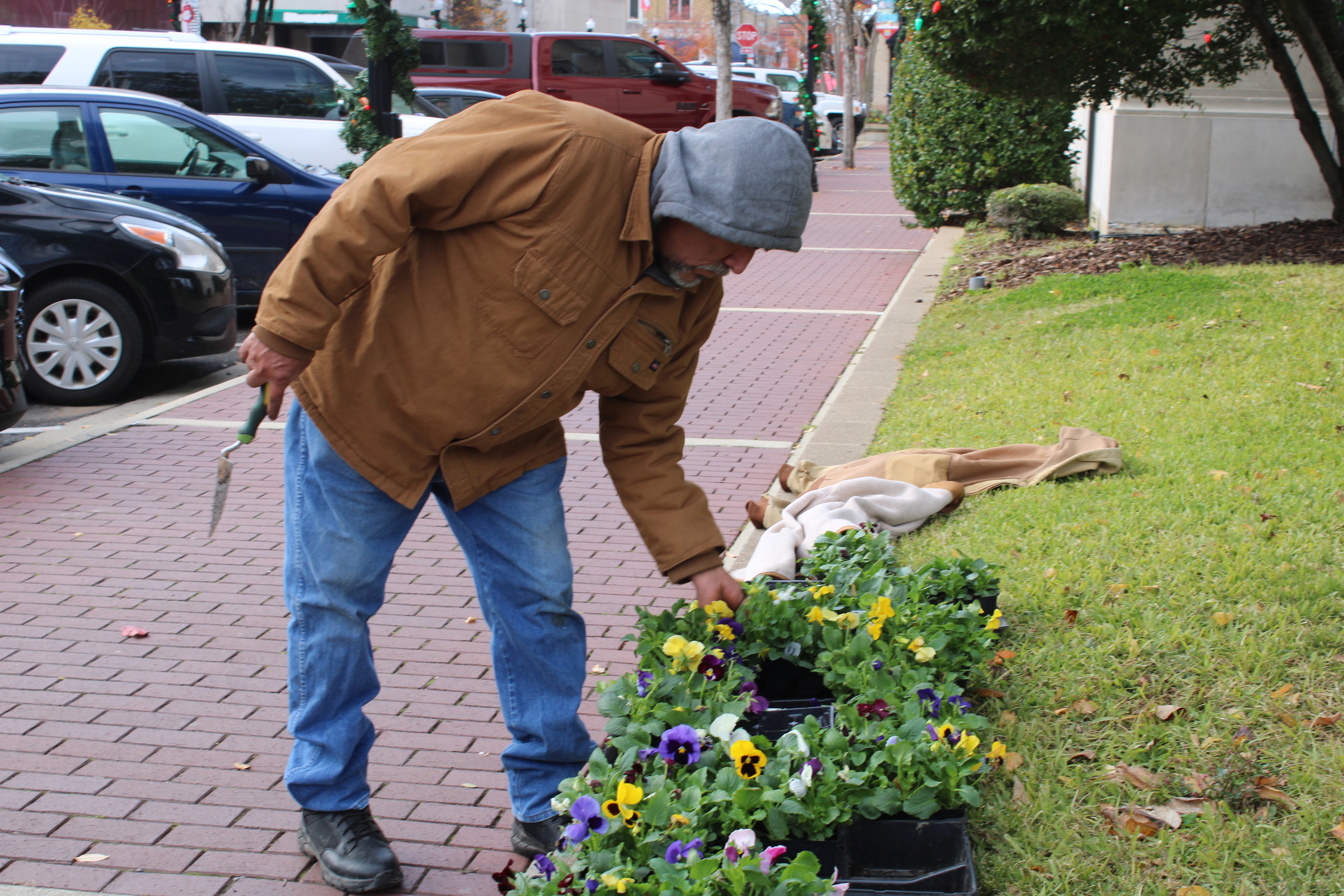 PHOTOS: Winter planting - Vimarsana News