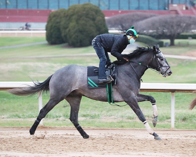 Barber Road, seen galloping around the track, is set to race Saturday at Oaklawn. - Photo courtesy of Coady Photography