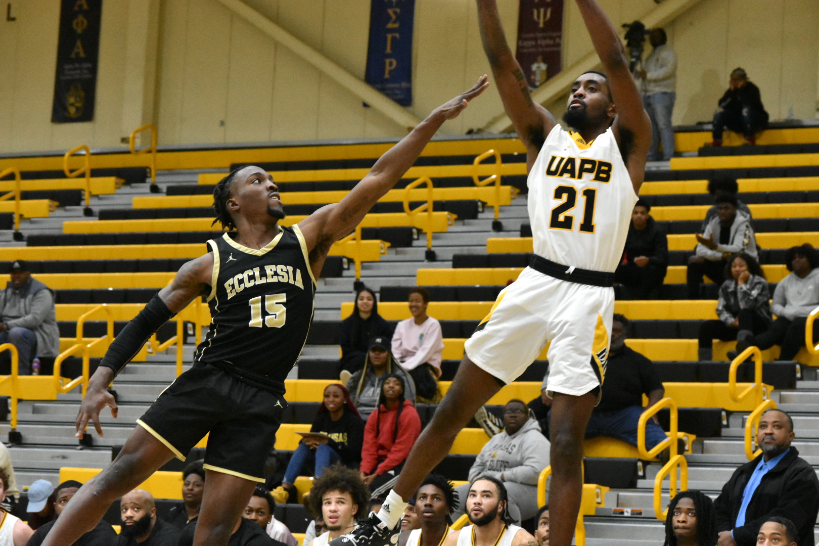Golden Lions zoom past Ecclesia