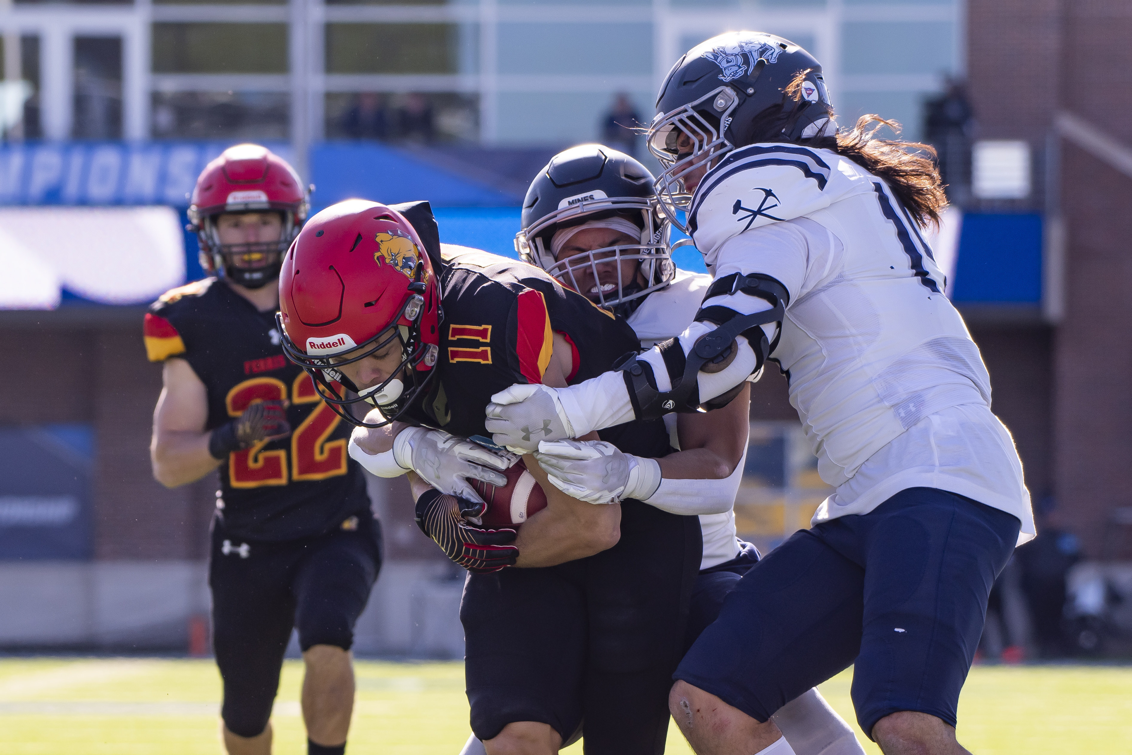 Ferris State wins 2nd straight Division II title - Vimarsana News