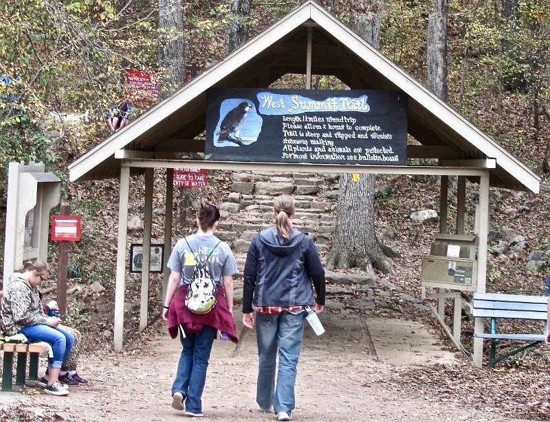 A Pinnacle Mountain State Park interpreter will lead hikers on Sunday up the West Summit Trail. (Special to the Democrat-Gazette/Marcia Schnedler)