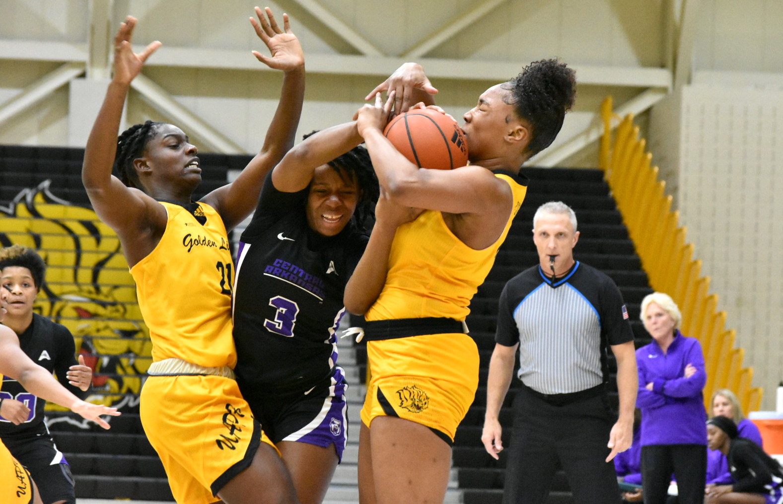 UAPB Women Defeat UCA In Overtime Win | Northwest Arkansas Democrat-Gazette