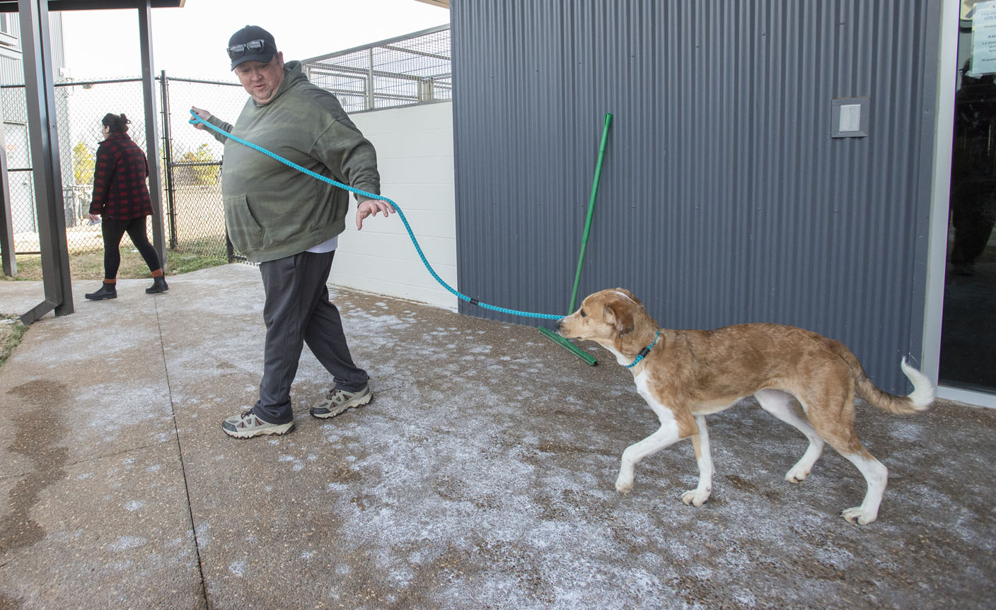 Springdale Animal Shelter forced to relocate animals after pipes burst