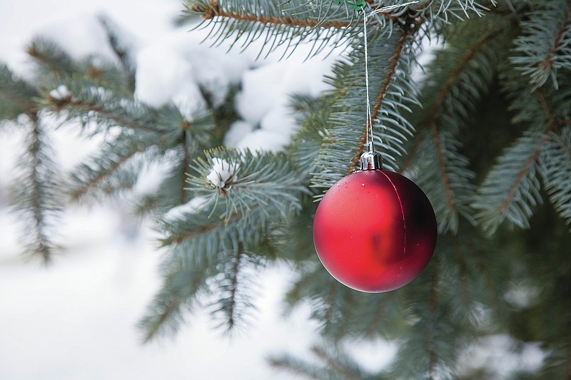 Old Christmas trees can be used as fish habitats | Texarkana Gazette