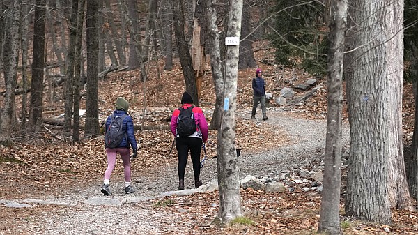 Thousands join New Year's Day hikes - Vimarsana News