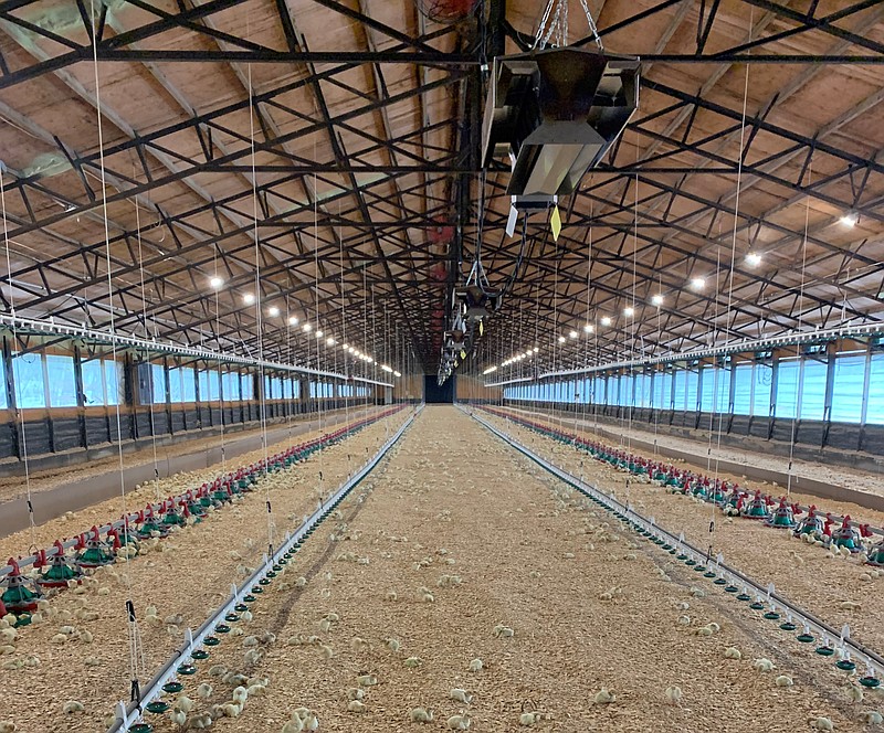 Courtesy/Tyler Dicus — Tyler Dicus, a California turkey farmer, used a USDA grant to make energy-efficiency upgrades in his barns. The new lights, heating and ventilation systems, and curtains and flap help him do more with less on his farm.