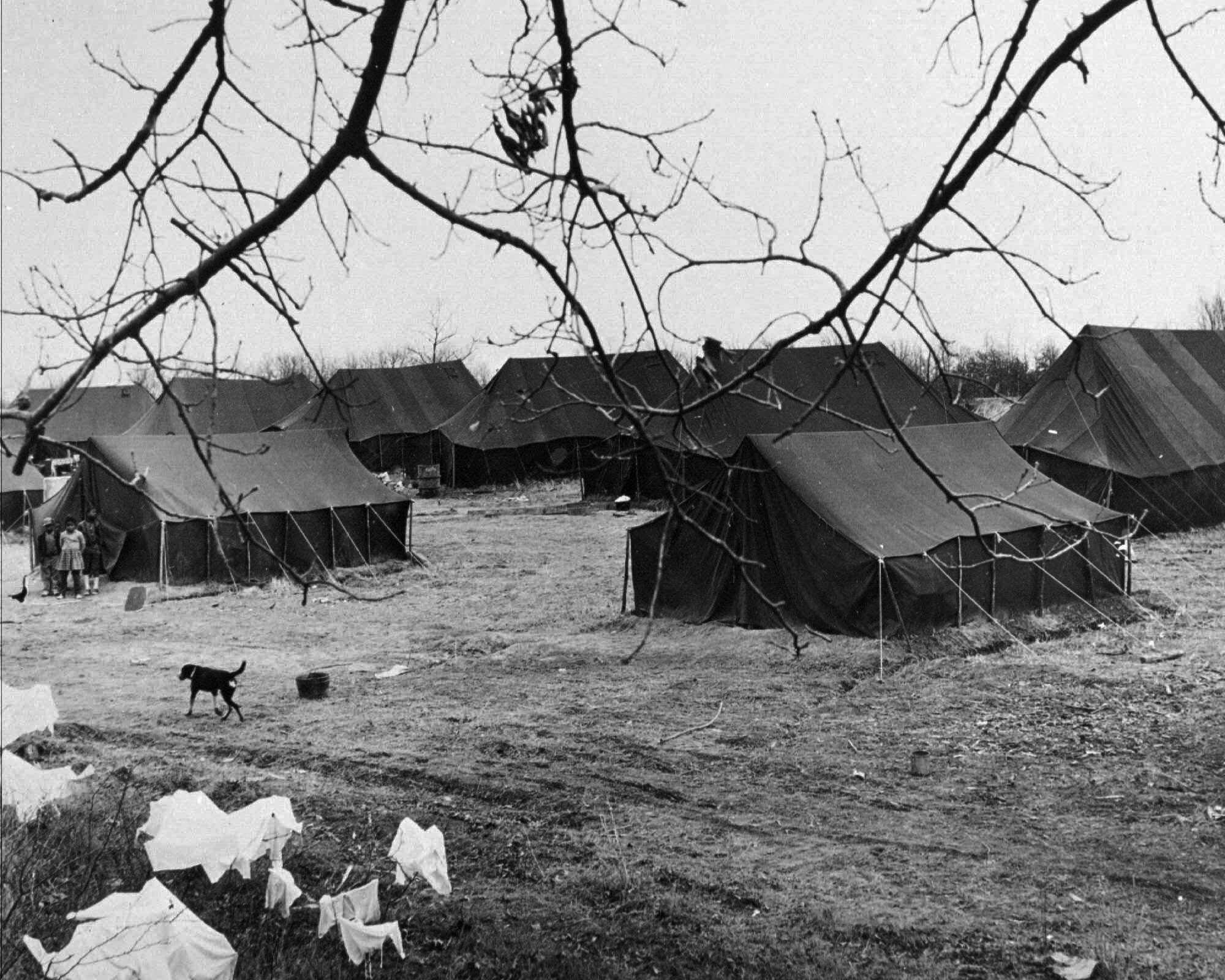 Exhibition to spotlight photojournalist Withers, locals - Vimarsana News