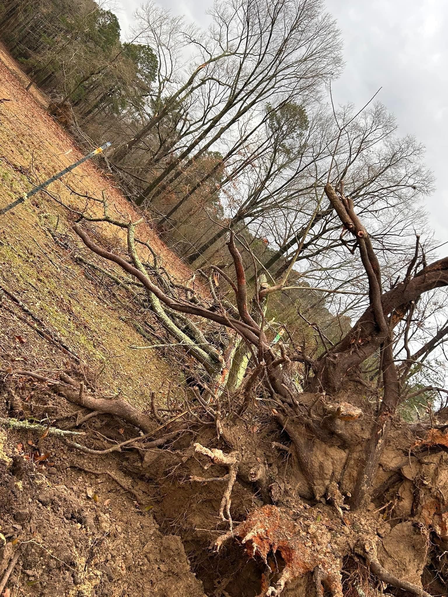 Weather service confirms tornado touchdown in county - Vimarsana News