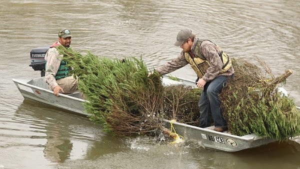 Christmas trees can be recycled into quality fish and wildlife habitats. (Contributed Photo)