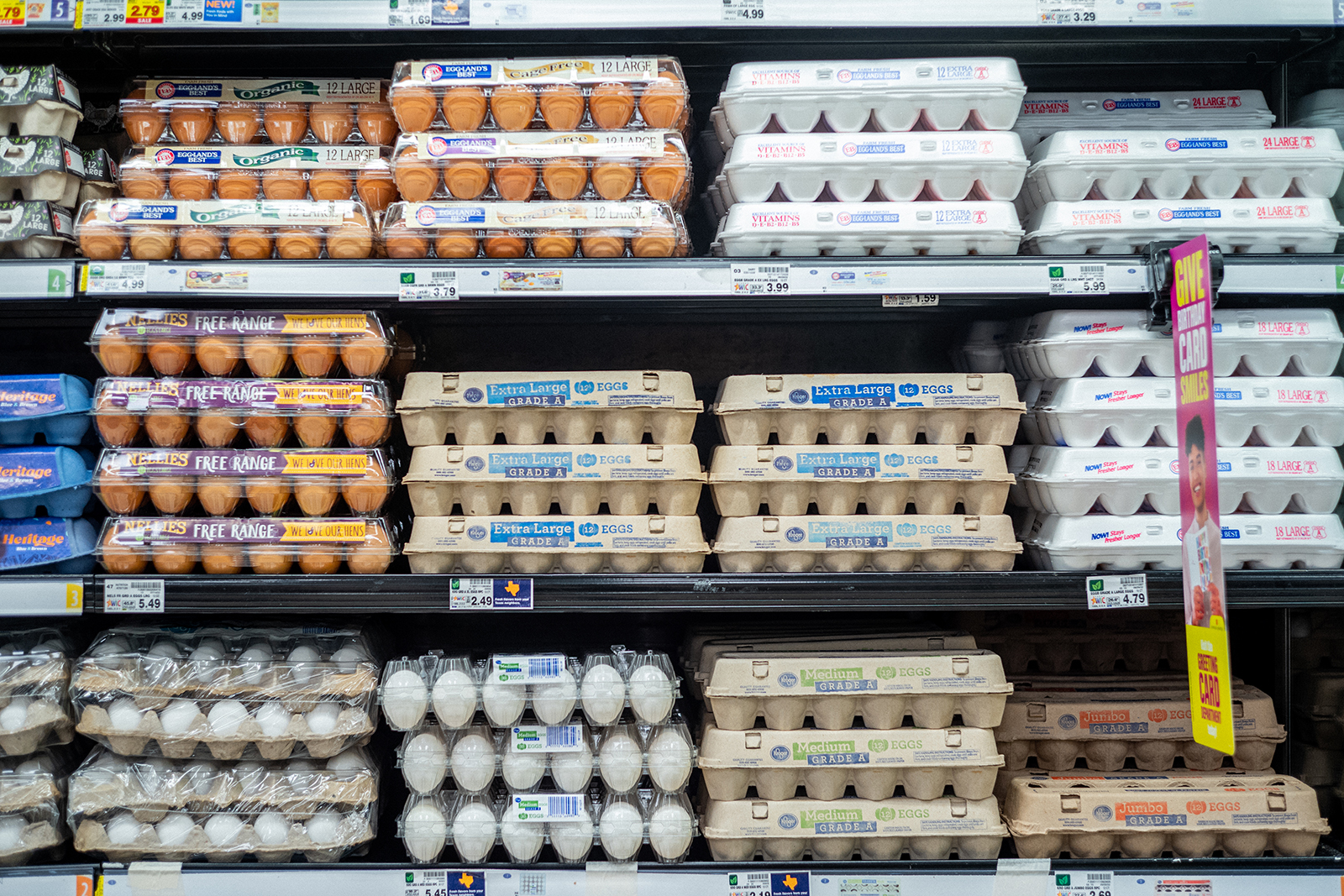 Why are eggs still so expensive? - Vimarsana News