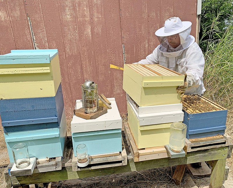 Free Beekeepers Class