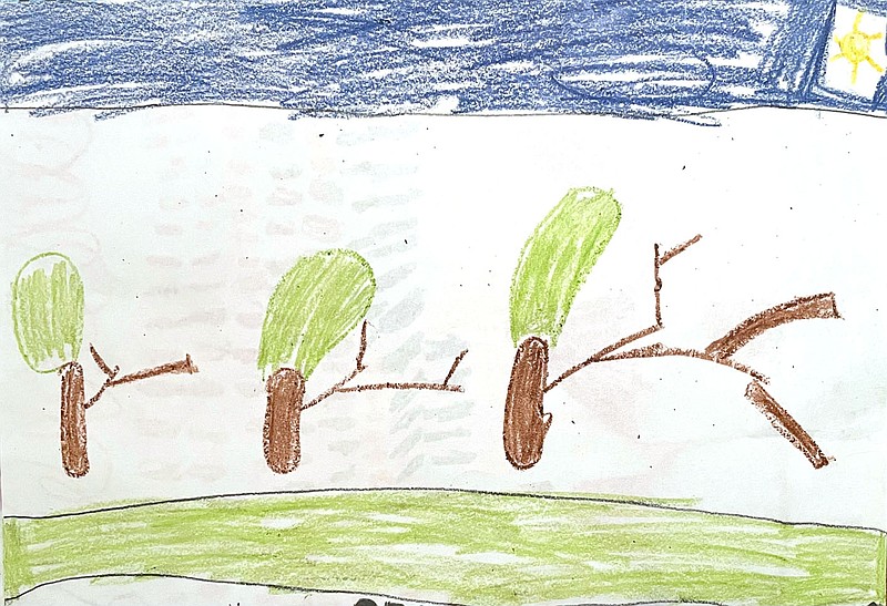 Brilynn Ketcher, 1st grade
Mrs. Courtney Woodward's class
Pea Ridge Primary School