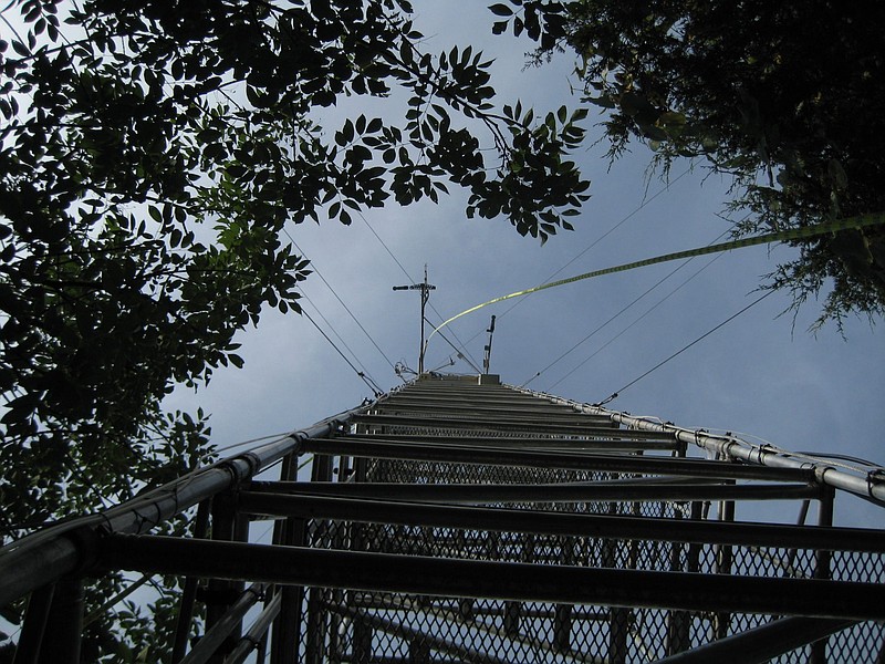 Courtesy/Jeffrey Wood, University of Missouri: 
The Missouri Ozark AmeriFlux, MOFLUX, tower —  a collaborative project between the University of Missouri and Oak Ridge National Laboratory — stands tall over the forest canopy at the University of Missouri’s Baskett Wildlife Research and Education Center near Ashland. The tower records data to measure how much carbon dioxide the forest takes up from the atmosphere and how much water is leaving it, and will be a component of an $800,000 grant received by Lincoln University.