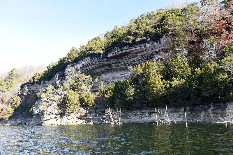 Bluff wanderers gotta want it to see it The Weekly Vista