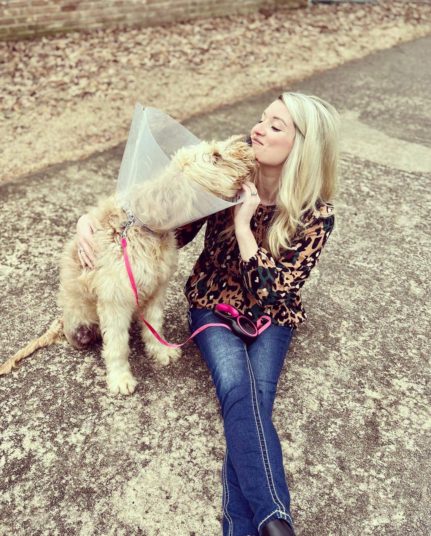 White Hall nurse rescues injured labradoodle