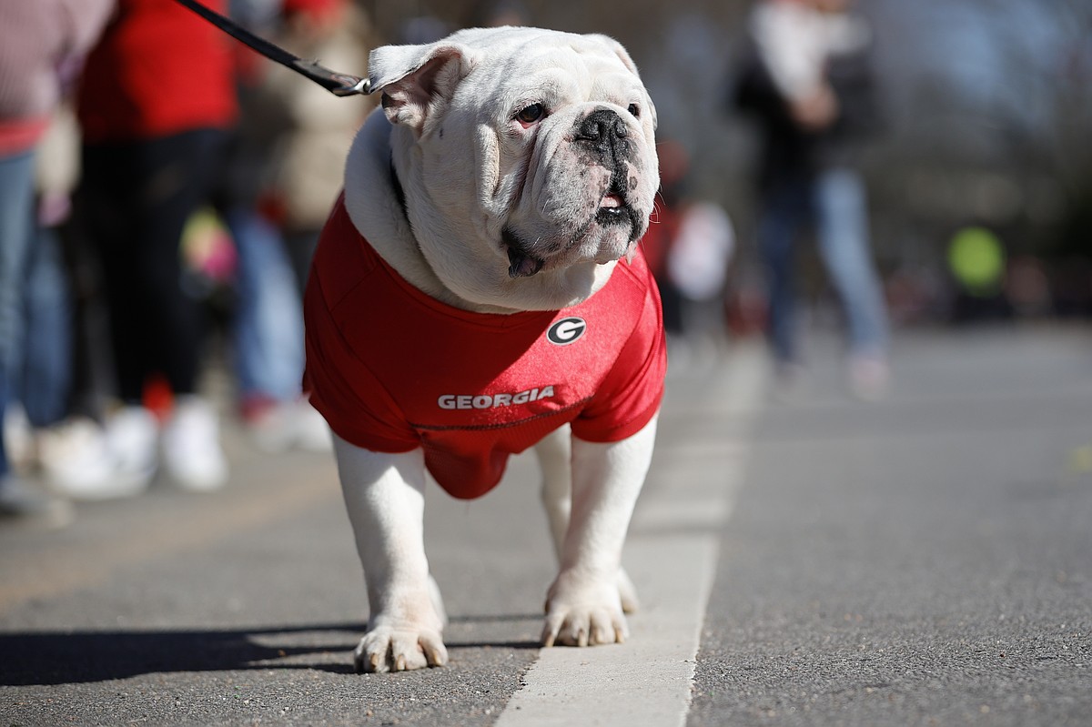 Parade puts cap on 'Dawgs' back-to-back titles | The Arkansas
