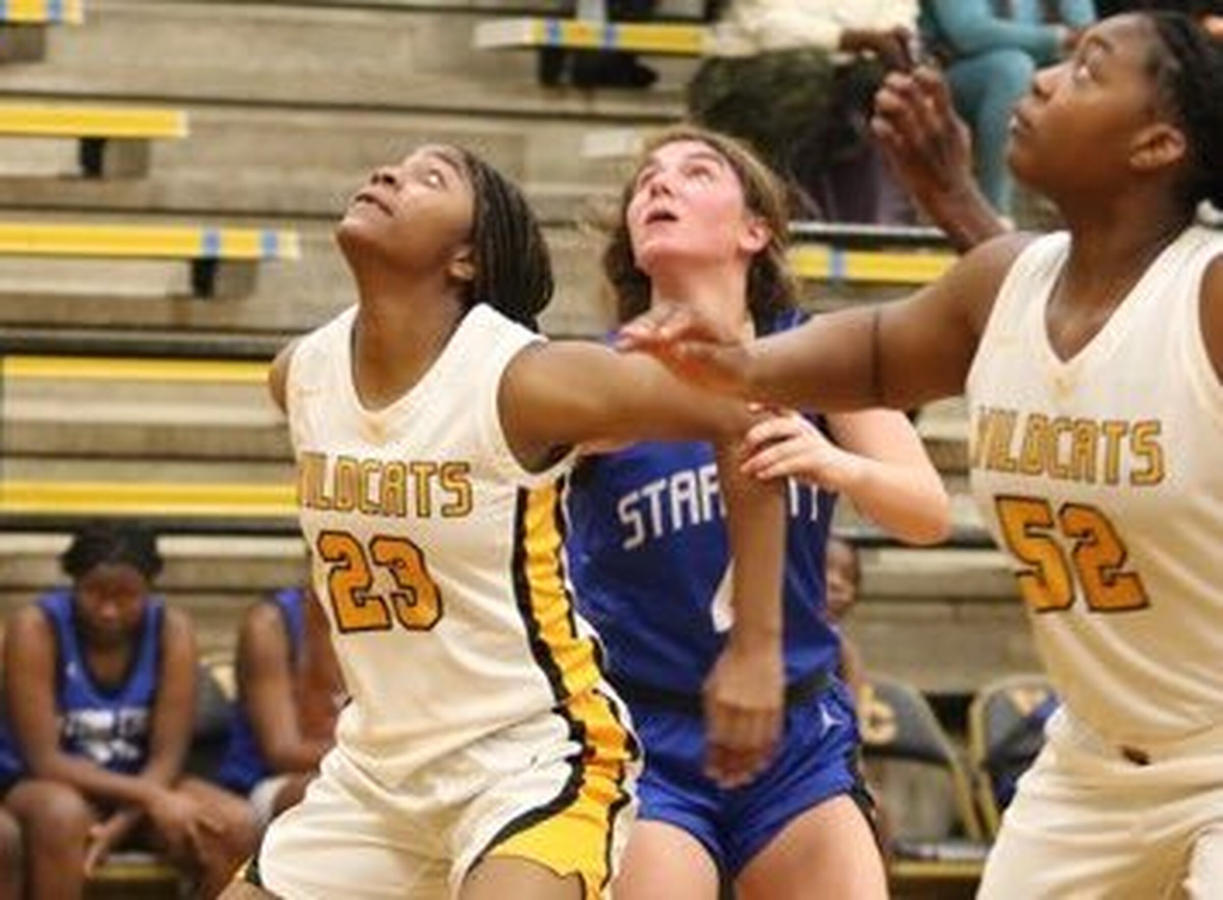 Ladydogs defeat Watson Chapel 51-42, lead 4A-8 alone