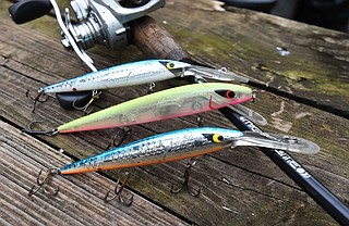 OPINION | PUTTHOFF: Easy to catch bass on Beaver Lake with Smithwick Rogue lure | Northwest Arkansas Democrat-Gazette OPINION | PUTTHOFF: Easy to catch bass on Beaver Lake with Smithwick Rogue lure | Northwest Arkansas Democrat-Gazette