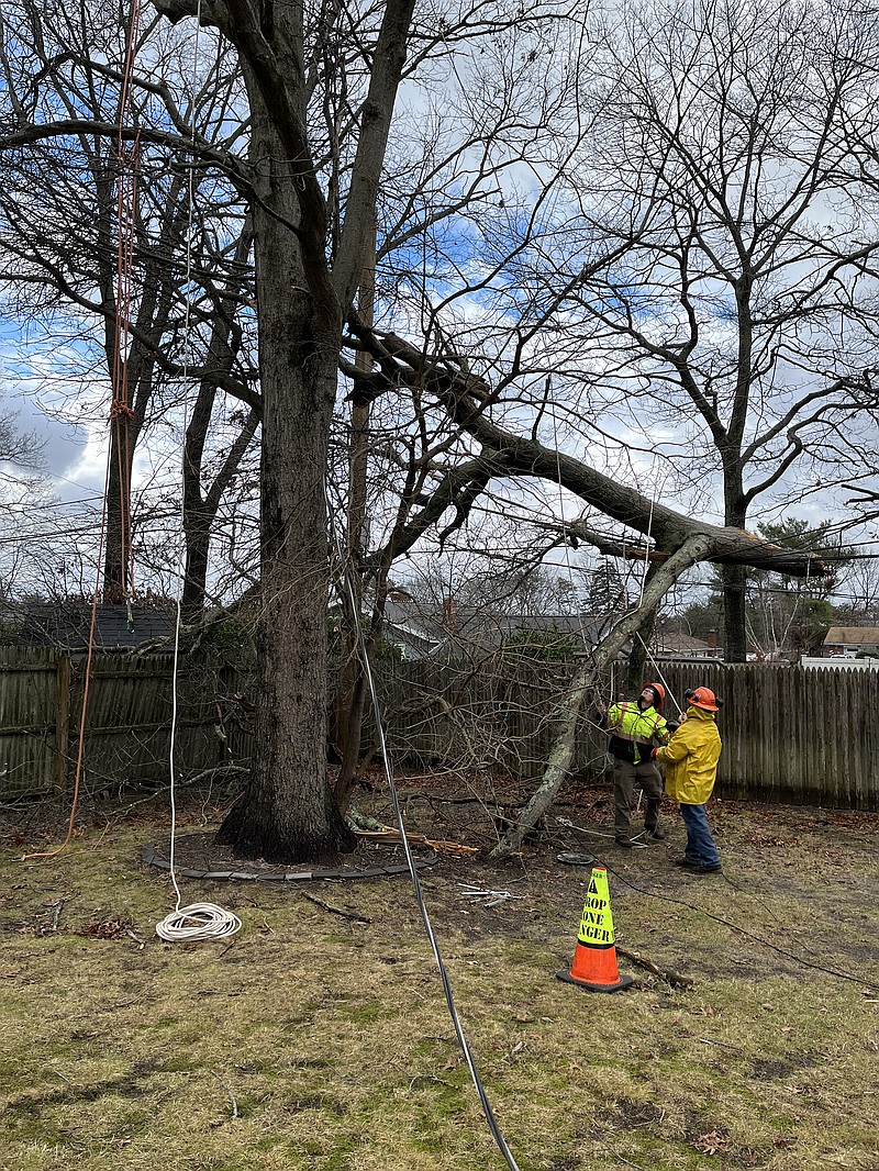 Crew members work to remove a fallen tree limb from wires in Jerry Zezima's backyard. (Jerry Zezima/TNS)