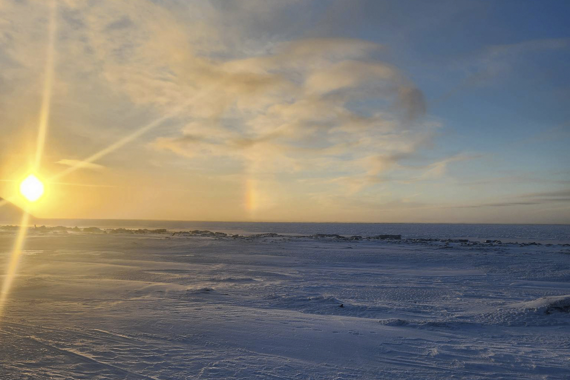 Polar bear in Alaska emerged unseen from snowstorm to kill mom, son - Vimarsana News