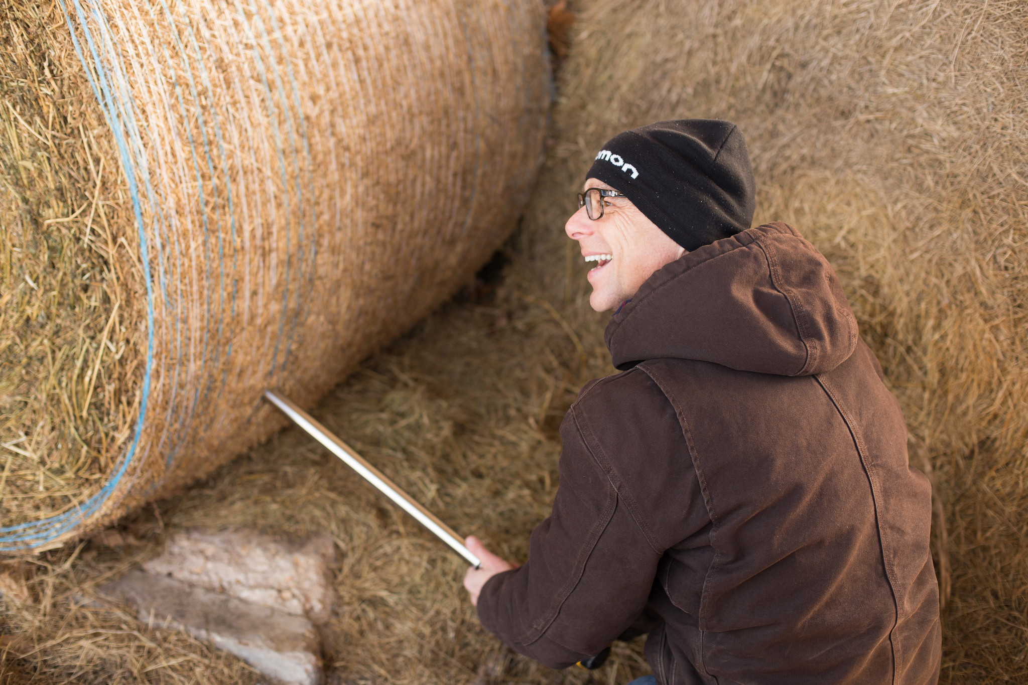 U.S. hay stocks lowest since first data in 1973