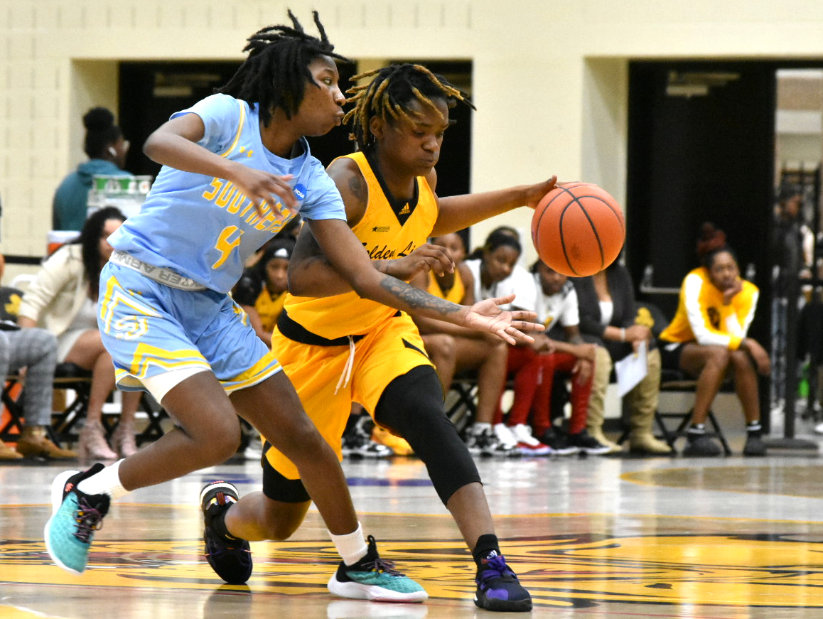 Peat, Davenport lead UAPB over Southern