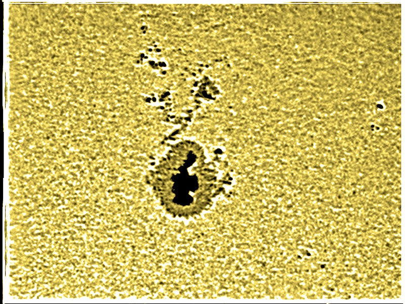 David Cater/Star-Gazing
An enormous sunspot announces a new sunspot cycle.