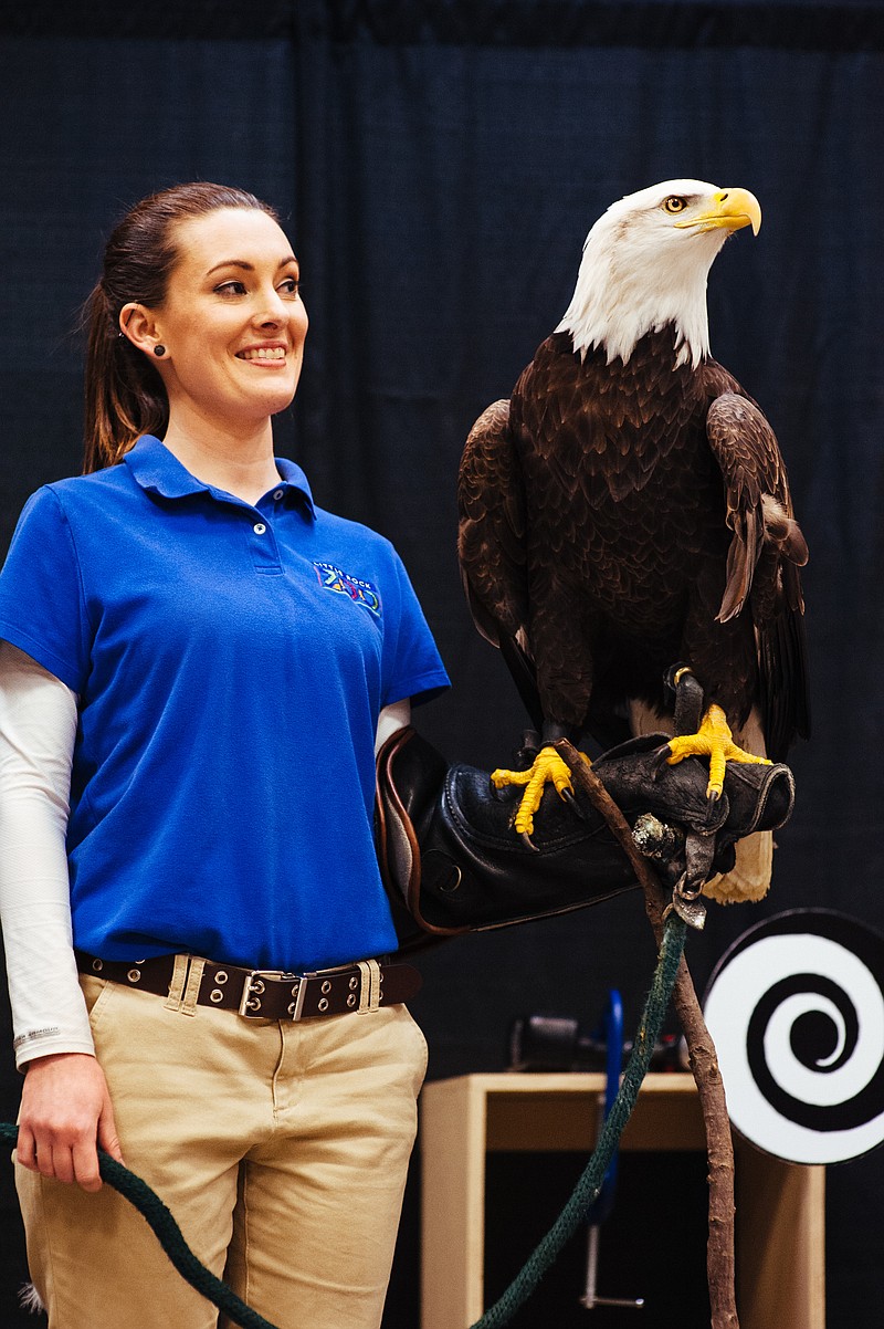 Hannah Baker with the Little Rock Zoo works with a bald eagle named Lynn during a presentation at DeGray Lake Resort State Park. Photo is courtesy of DeGray Lake Resort State Park. - Submitted photo