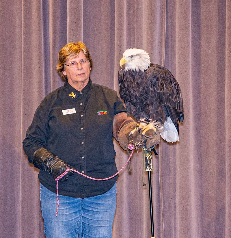 Dickerson Park Zoo volunteer Kathy Binkley displays Phoenix, a 34 year-old female bald eagle at Runge Nature Center's Eagle Days Saturday.  (Ken Barnes/News Tribune)