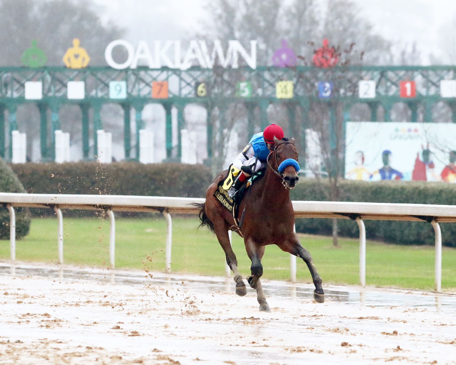 Baffert gets clear picture with Southwest winner - Vimarsana News