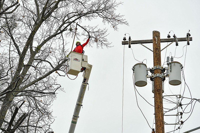Roberto Villa, Jr. and other workers with Lewis Tree Service trim tree limbs from nearby power lines, Tuesday, Jan. 31, 2023, at the Fort Smith Courthouse and City Hall in downtown Fort Smith. Villa, Jr. said the company was brought in from Oklahoma City this week to help protect area power lines and businesses from tree limbs that might freeze and fall from winter storms. Visit nwaonline.com/photo for today's photo gallery.
(NWA Democrat-Gazette/Hank Layton)