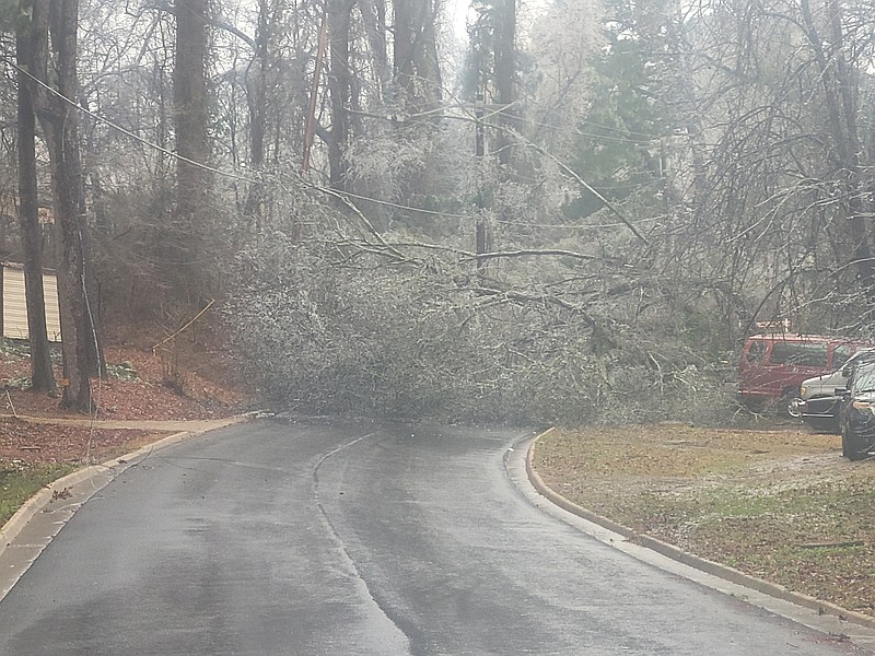 Photo by Bradly Gill
A downed tree off of Pear Street was just one of multiple incidents across Camden after an ice storm caused power outages.