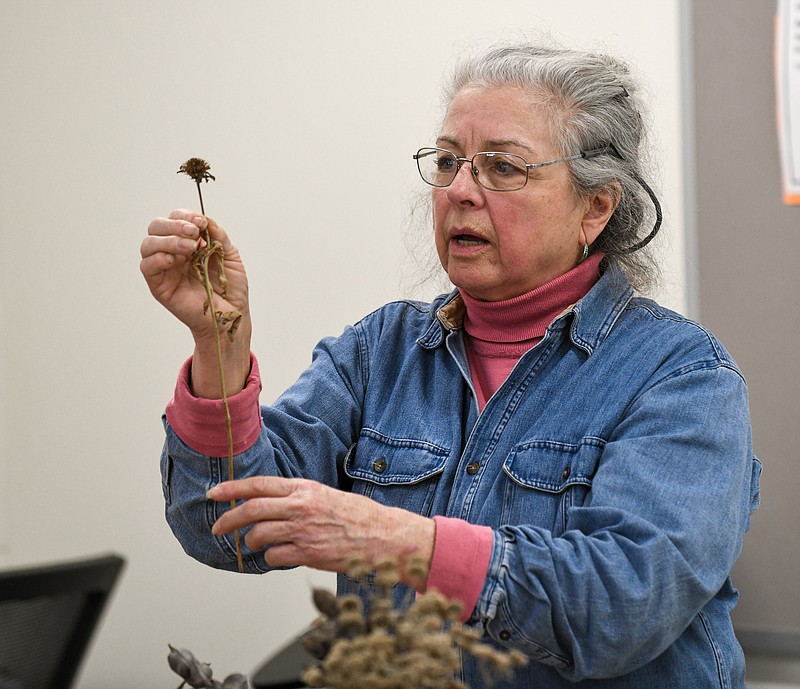 Julie Smith/News Tribune
Becky Erickson served as an instructor during Wednesday's wildflower propagation class at Dickinson Research Center on the campus of Lincoln University. Erickson, who is from Ashland's Millpond Plants and a member of the Native Plant Society and other native plant organizations, lead the one-day course, delivering numerous details about native species and how to have a successful crop.
