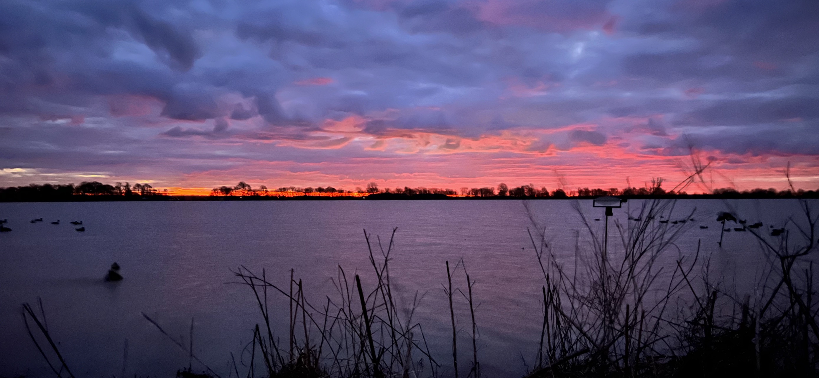 Duck count down at season’s end
