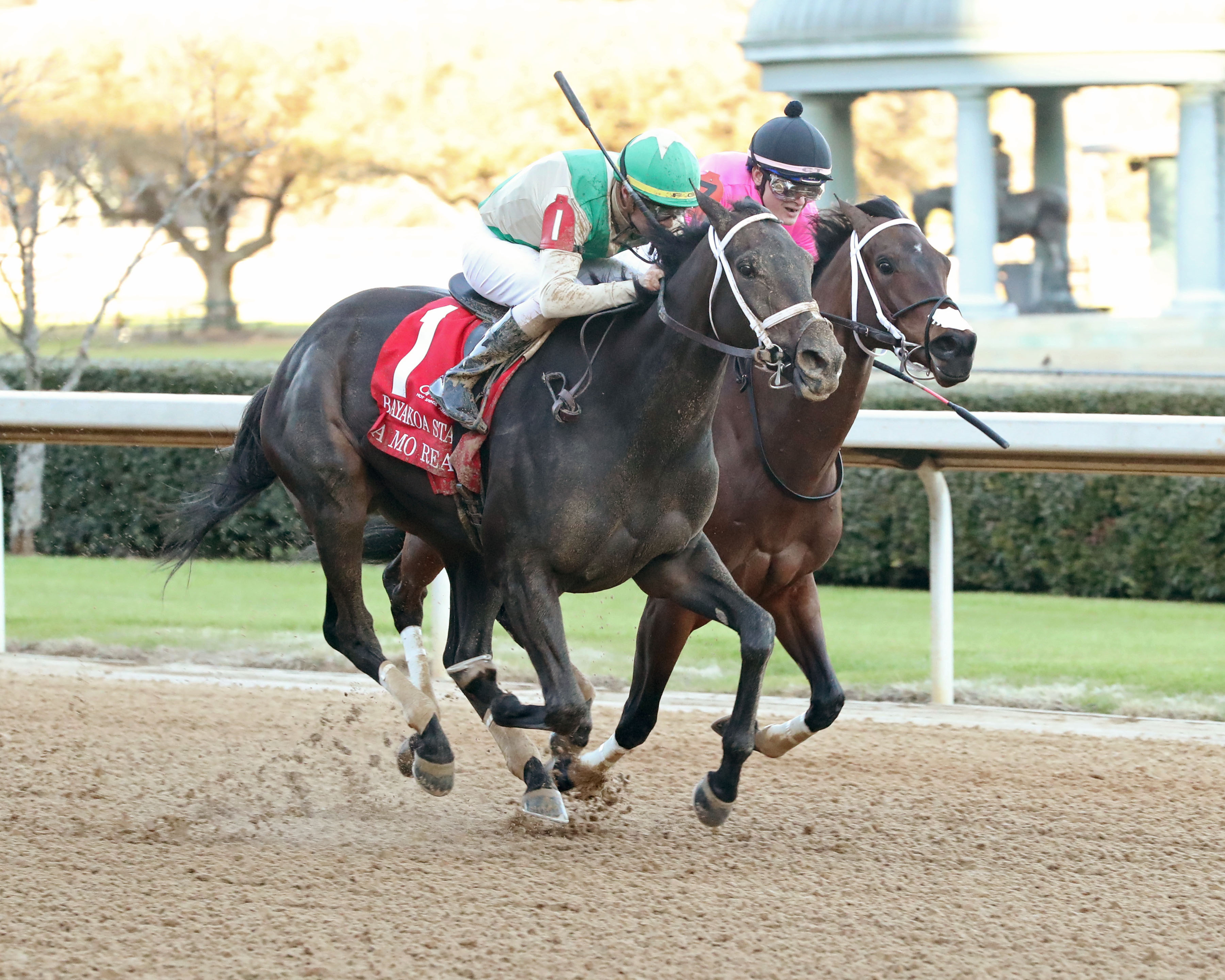Cox shipper catches Lovely Ride in Bayakoa Stakes - Vimarsana News