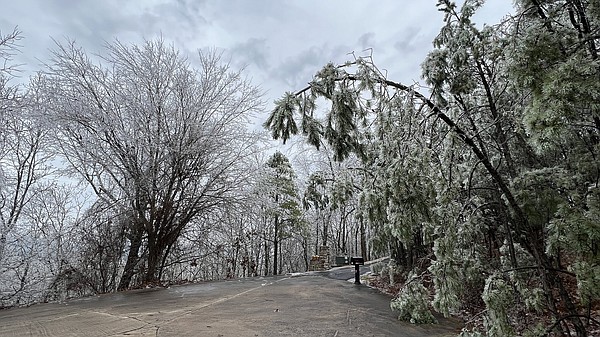 Taking stock of ice storm damage - Vimarsana News
