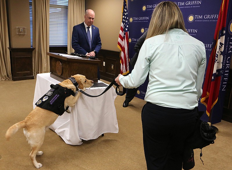 K9 officer Lucy jumps up to identify a tablet belonging to Chief Special Investigator Wayne Bewley (center) as Special Agent Amber Kalmer (right) watches Wednesday during a demonstration of Lucy seeking out electronic devices at the attorney general's office in Little Rock. 
(Arkansas Democrat-Gazette/Thomas Metthe)
