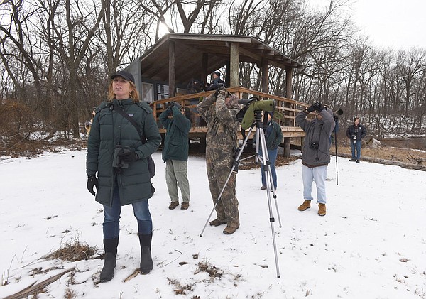 When the going gets slick, birders keep going - Vimarsana News