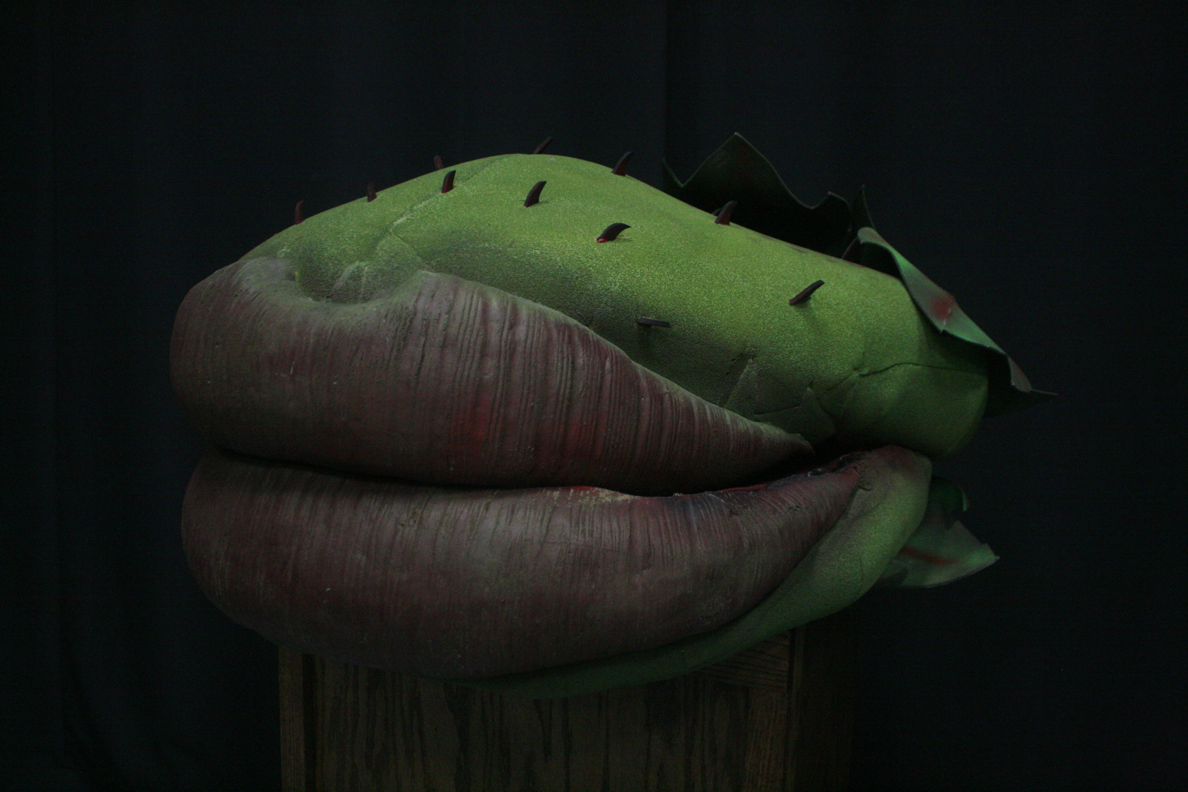 Acting out: A look inside the biggest star of 'Little Shop of Horrors' - Vimarsana News
