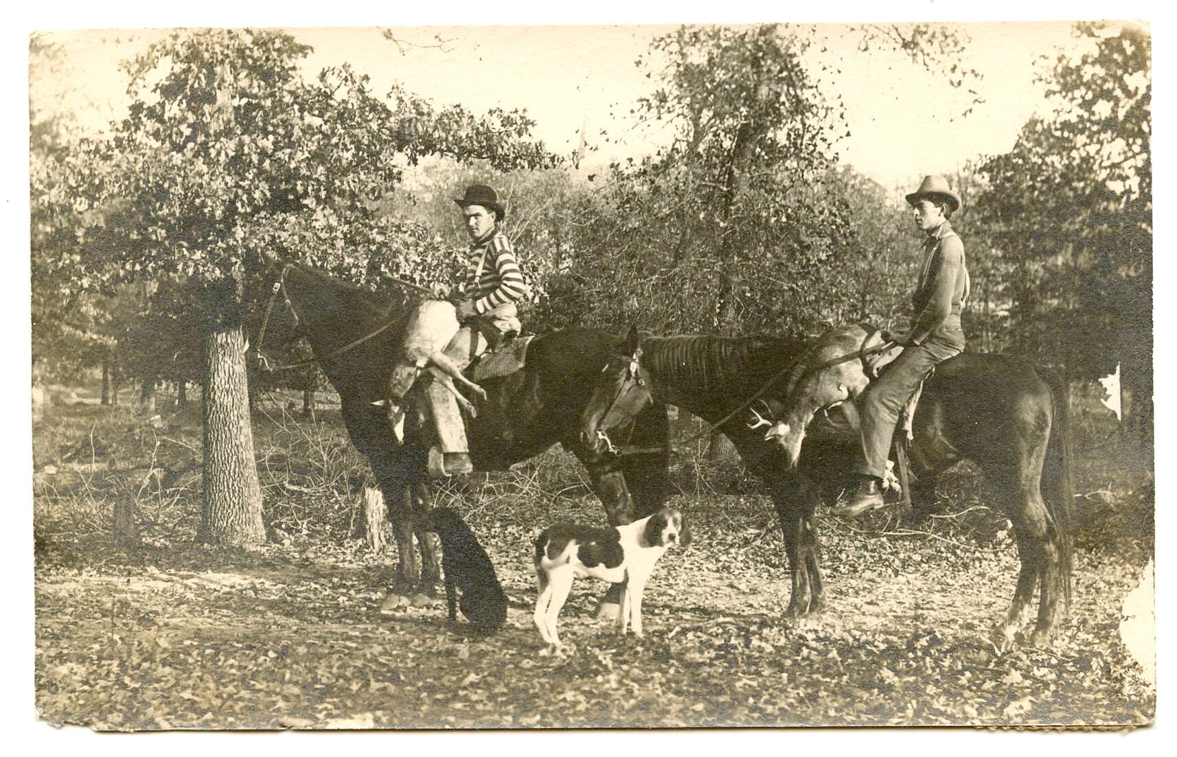 Arkansas Postcard Past - Vimarsana News