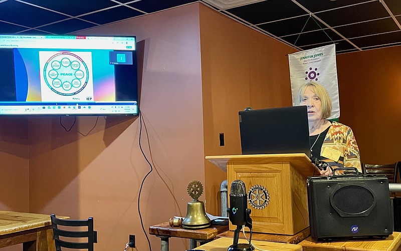 Rotary learns about peace building, conflict prevention efforts